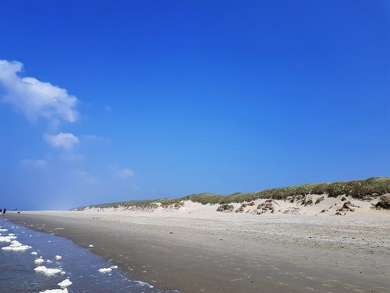 Strand mit Dünen auf Texel