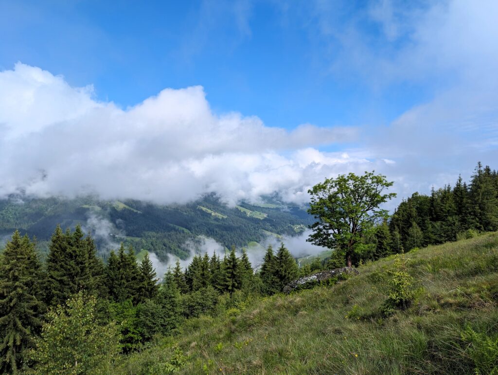 KAT-Walk Alpin Aussicht Etappe 2