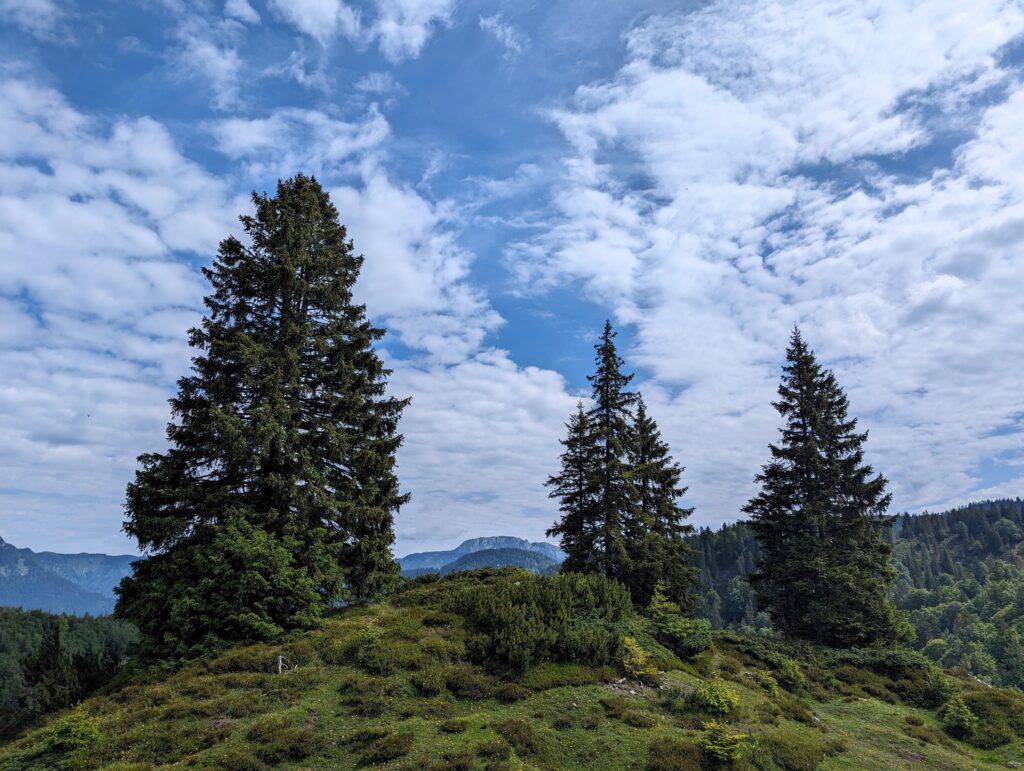 KAT-Walk Alpin - Aussicht auf Etappe 6