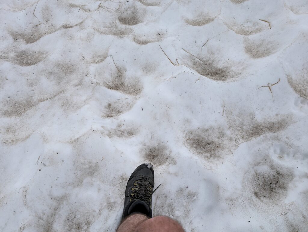 KAT-Walk Alpin Schneefeld im Juni auf der Etappe 3