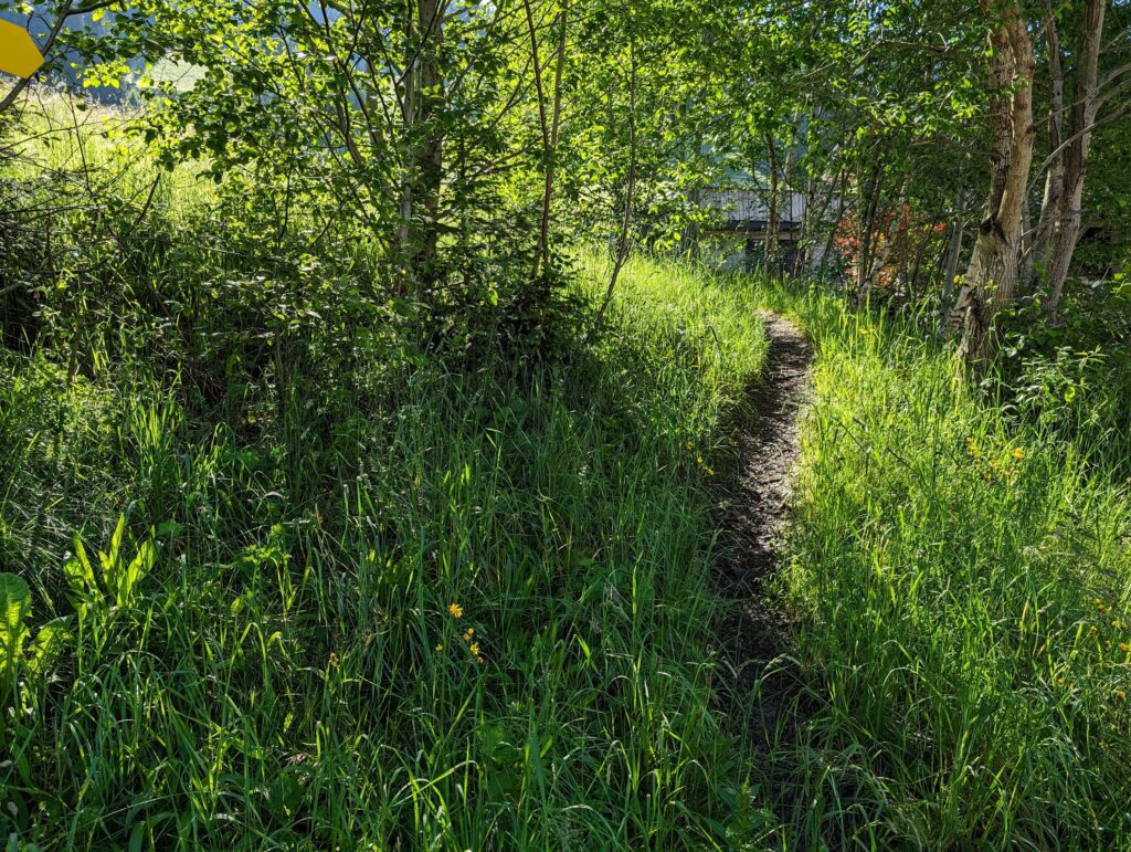 KAT-Walk Alpin Weg auf Etappe 4