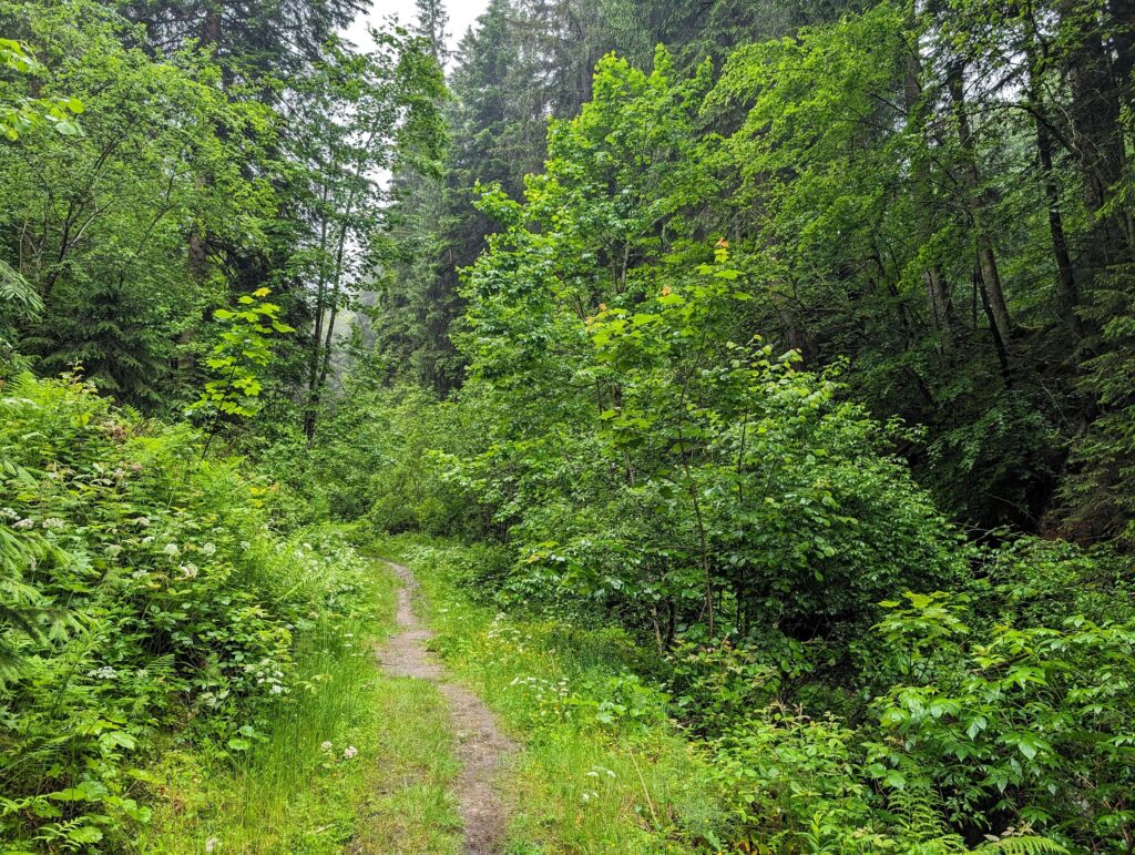 Kat-Walk Alpin - Weg auf Etappe 1