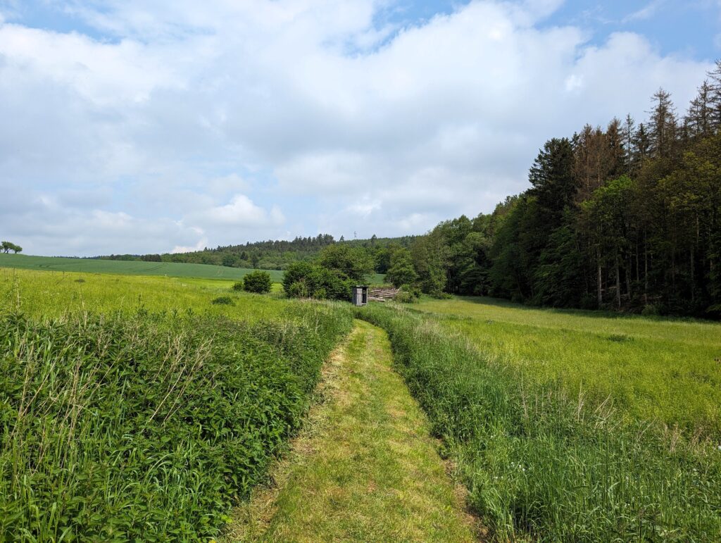 Extratour „Der Willmaser“ - Weg durch Wiesen