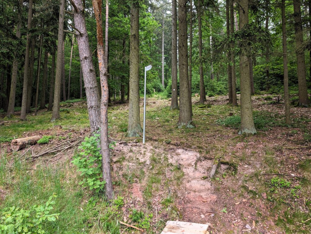 Extratour „Der Willmaser“ - Weg in den Wald