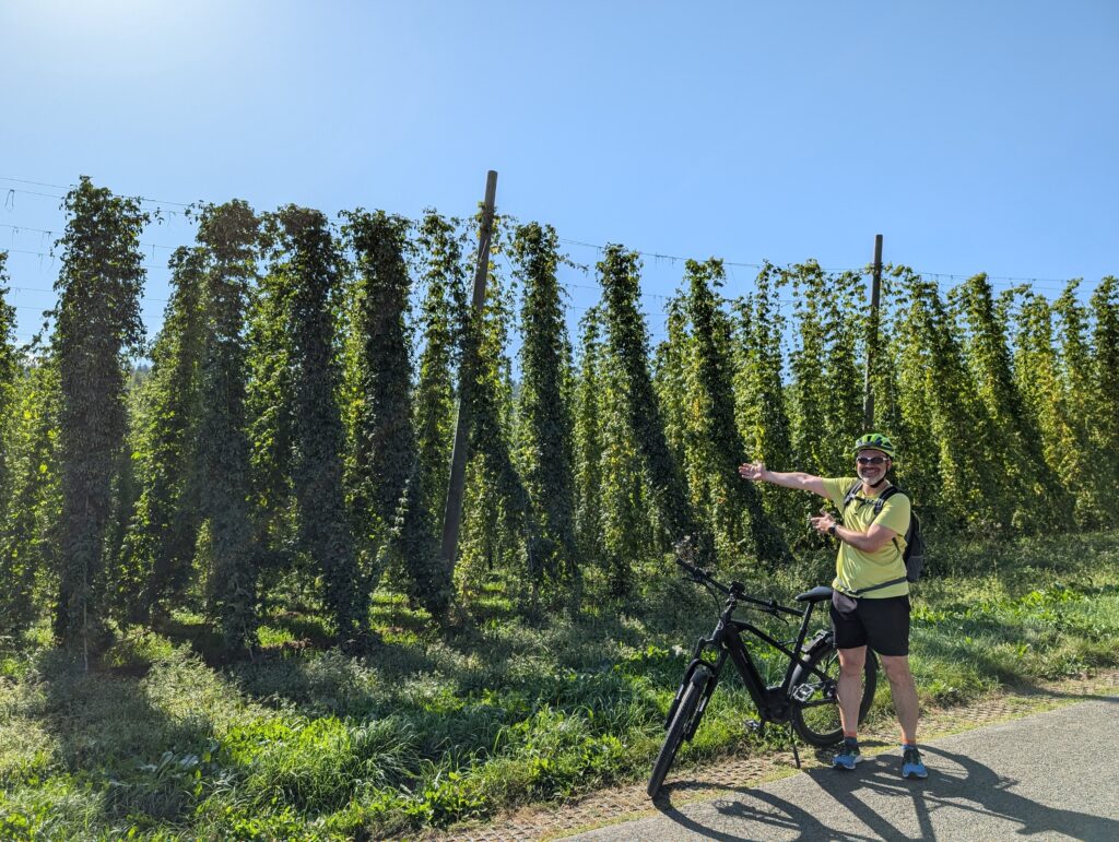 Hopfenfelder und ich auf der Hopfenradtour im Nürnberger Land