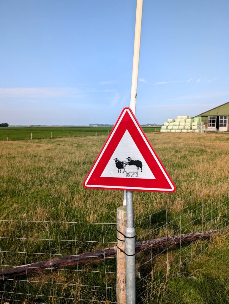 Achtung Schafe auf Texel