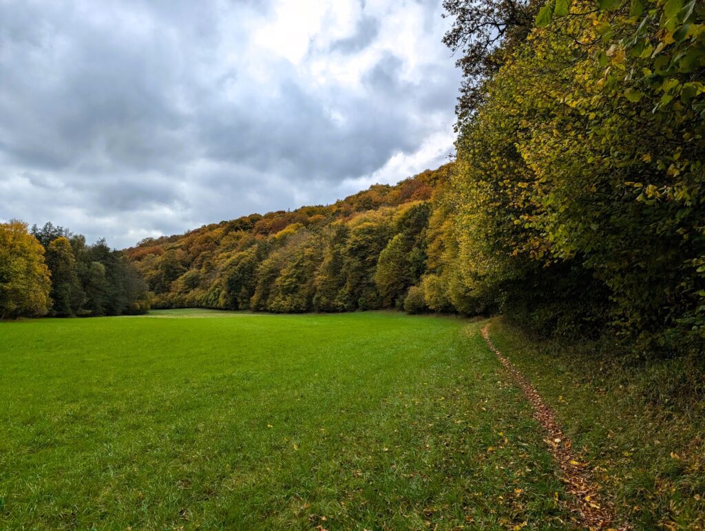 Der Weg Bildstock auf dem 3-Tälerweg im Schweinfurter Oberland_2