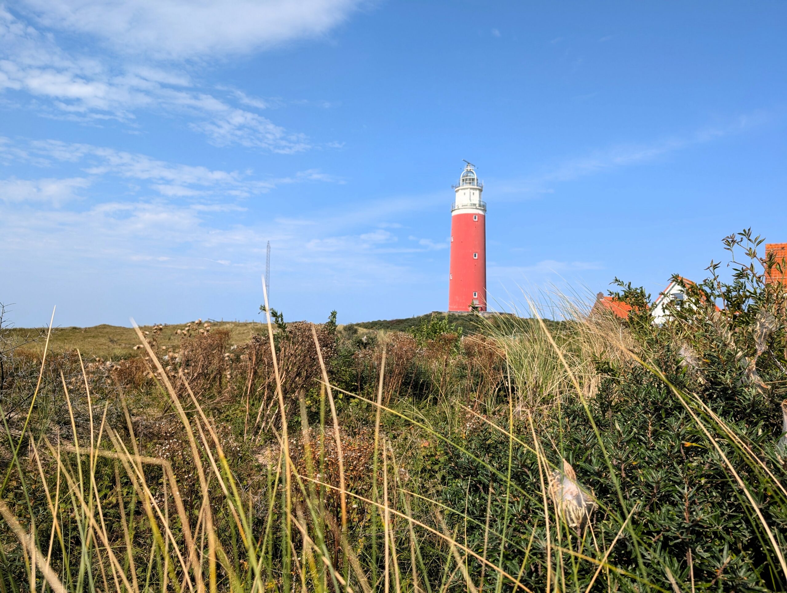 Leuchtturm auf Texel