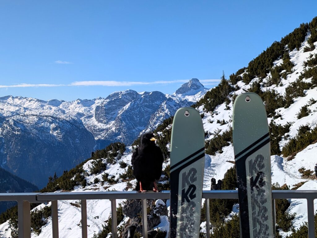 Aussicht vom Jenner in Berchtesgaden