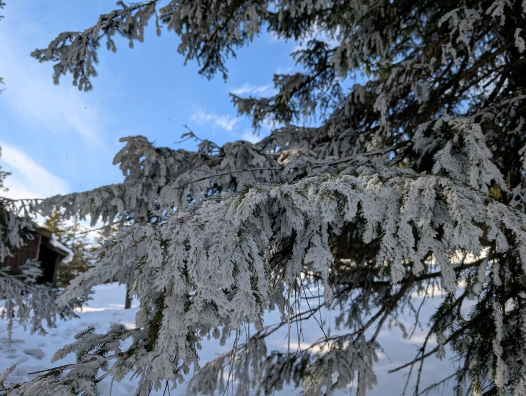 Winter in Berchtesgaden