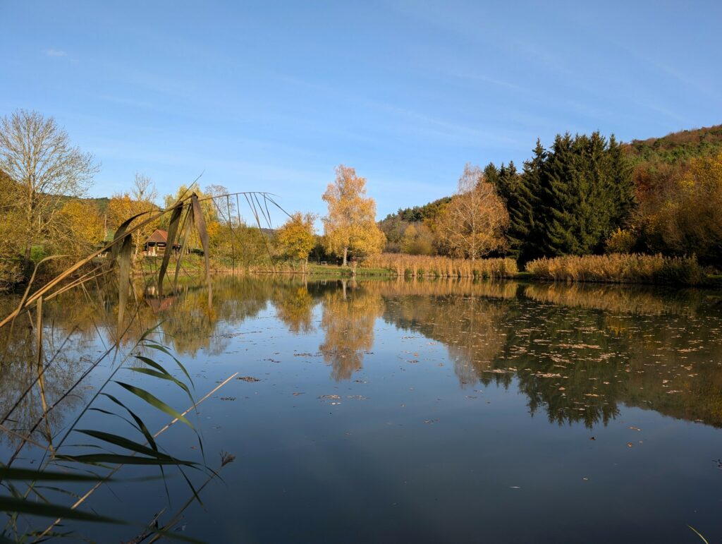Der Seeshofer See auf der Wanderung Wein, Wald und Wild Runde beim Hammelburg