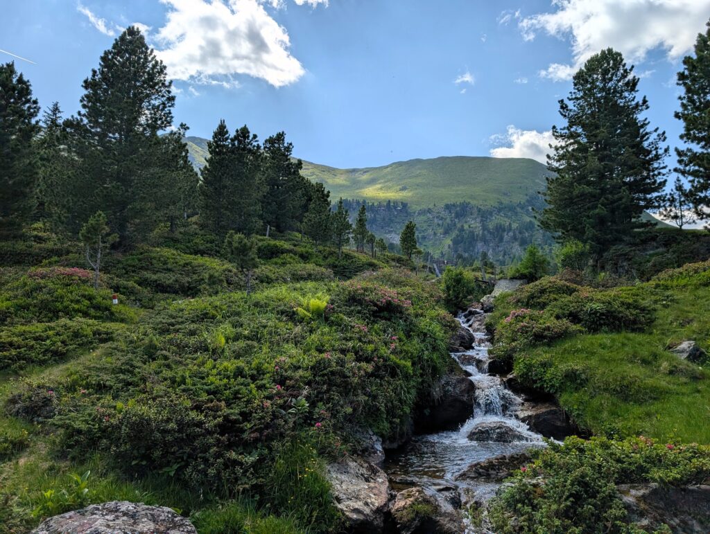 Nockberge-Trail Etappe 4 von der Turracher Höhe zum Falkertsee - Bach am Weg