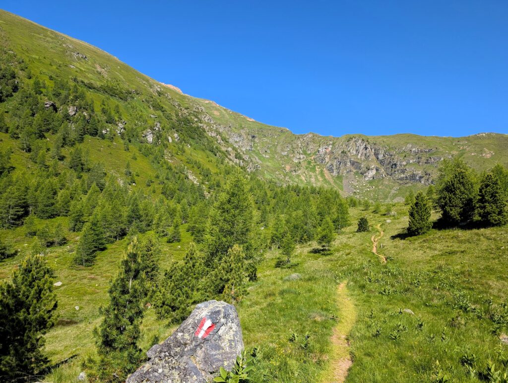 Nockberge-Trail Etappe 4 von der Turracher Höhe zum Falkertsee - Weg