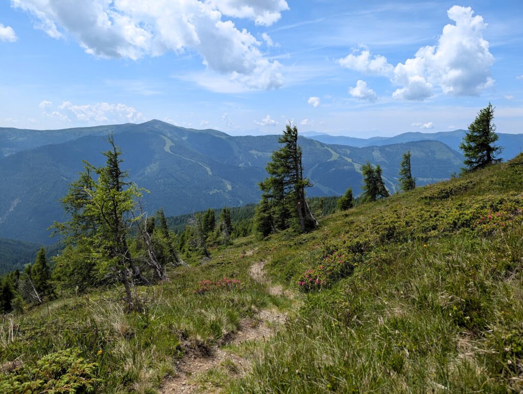 Nockberge-Trail Etappe 5 vom Falkertsee nach Bad Kleinkirchheim Zirkitzen - Weg nach Bad Kleinkirchheim