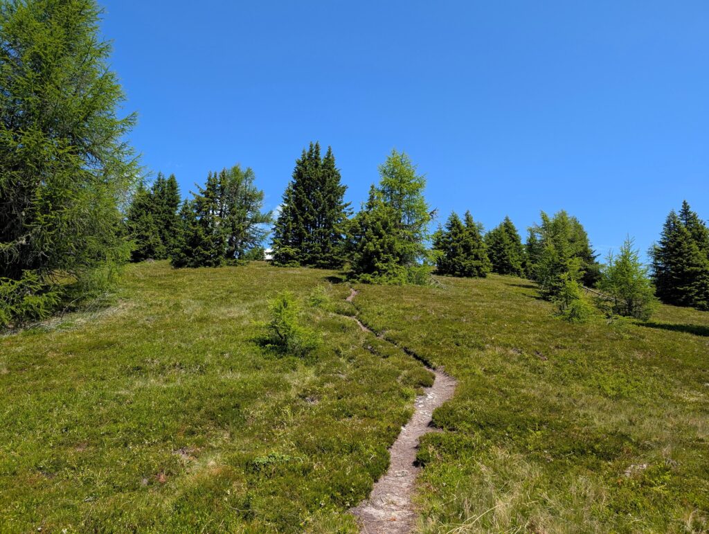 Nockberge-Trail Etappe 6 vom Bad Kleinkirchheim Zirkitzen zum Erlacherhaus - Weg Richtung Priedröf