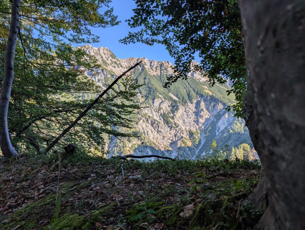 Aussicht auf dem Weg zum Stripsenkopf im KufsteinerLand