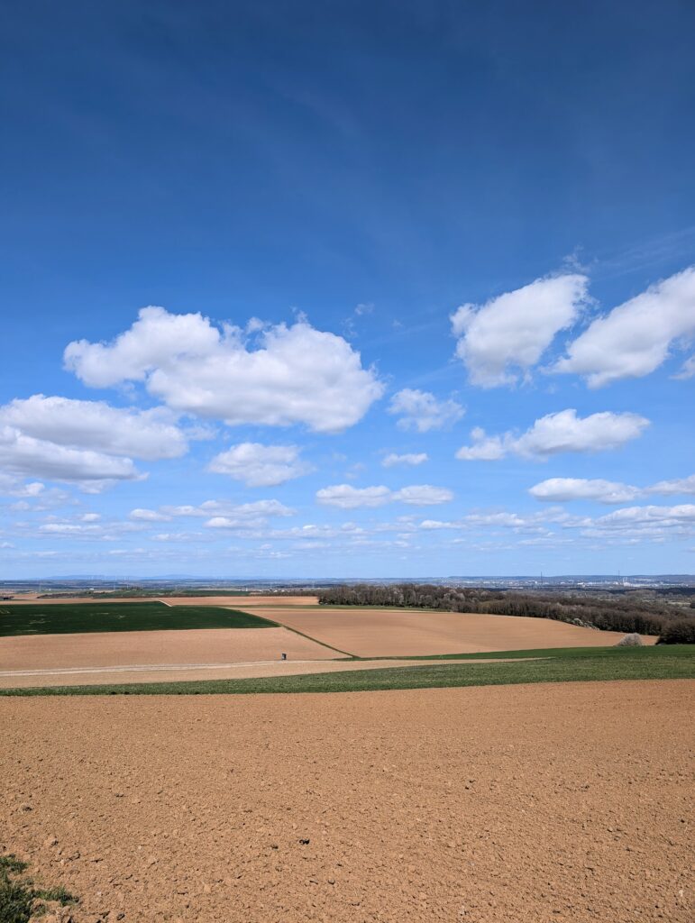 Aussicht auf das Schweinfurter Becken auf dem Panoramaweg rund um Wipfeld und Schwanfeld