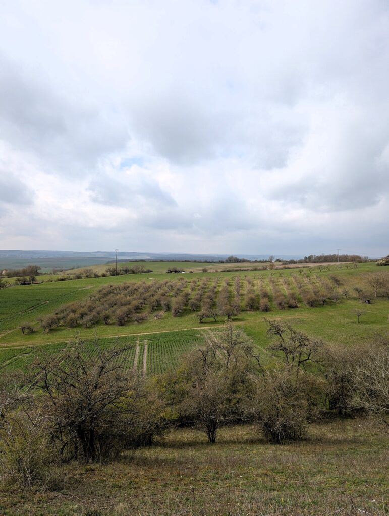 Streuobstwiesen bei der Erlebnistour - Durch die Toskana der Haßberge