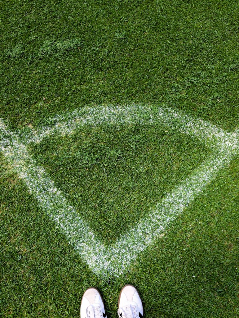 Rasen in der Heinz von Heiden Arena in Hannover