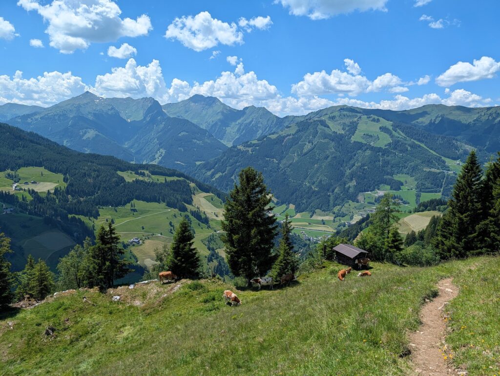 Aussicht auf Großarl auf dem Salzburger Almenweg