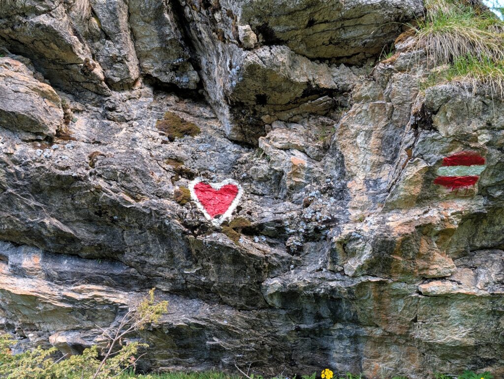 Große Liebe für den Salzburger Almenweg