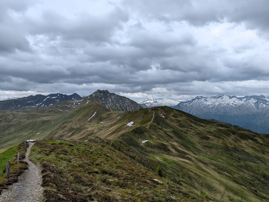 Pfad auf dem Salzburger Almenweg