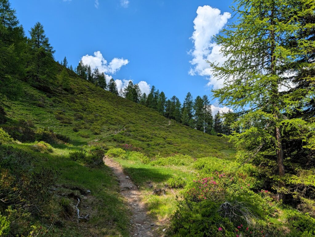Schöner Weg auf dem Salzburger Almenweg