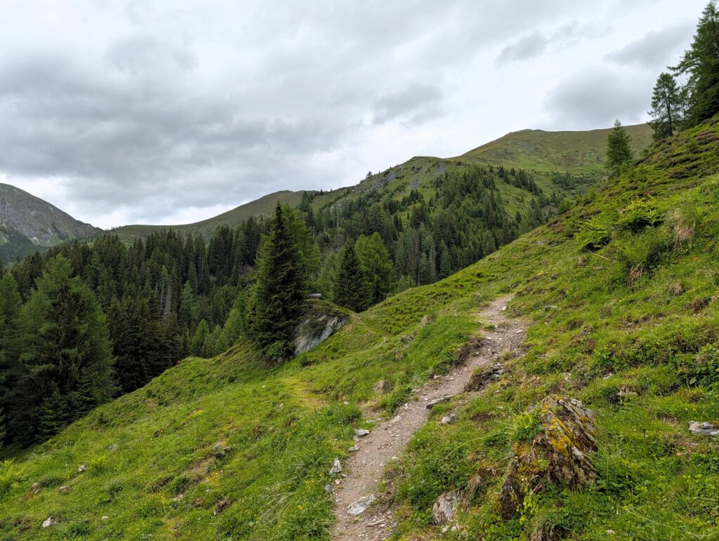 Weg Richtung Kreuzeck auf dem Salzburger Almenweg