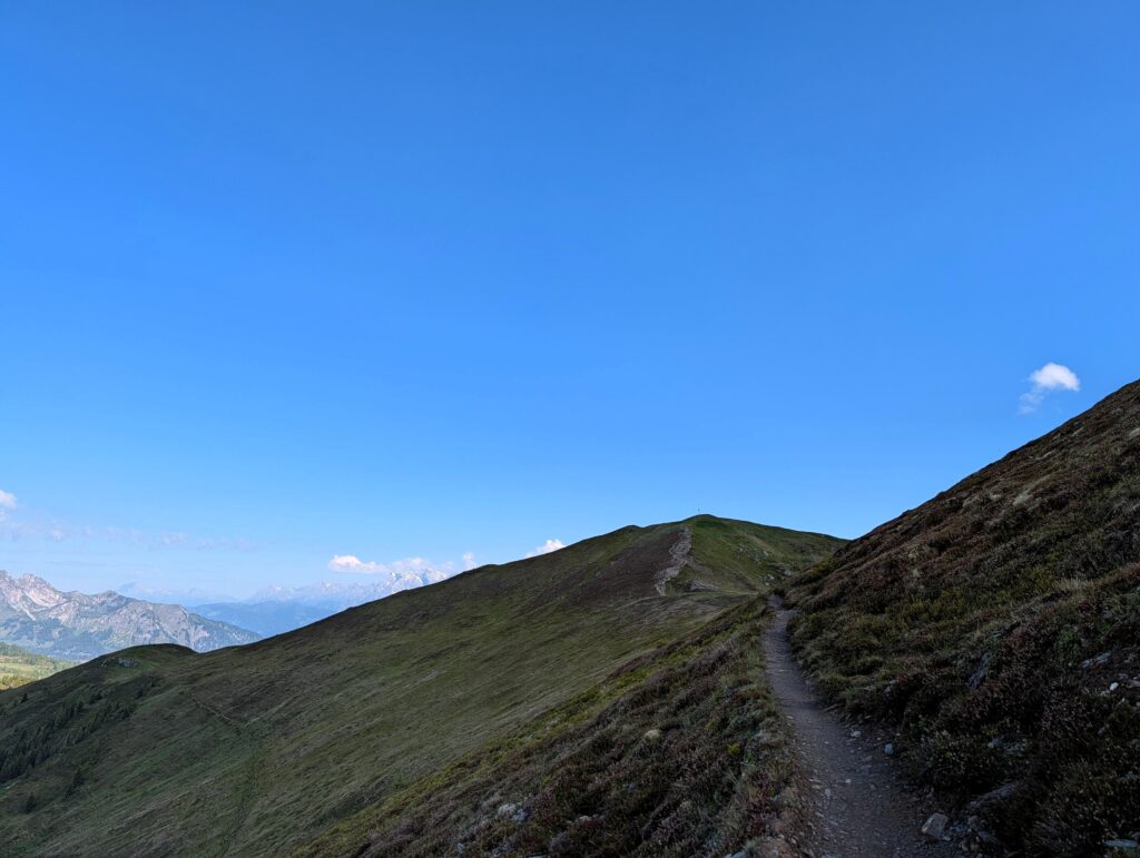 Weg auf dem Salzburger Almenweg