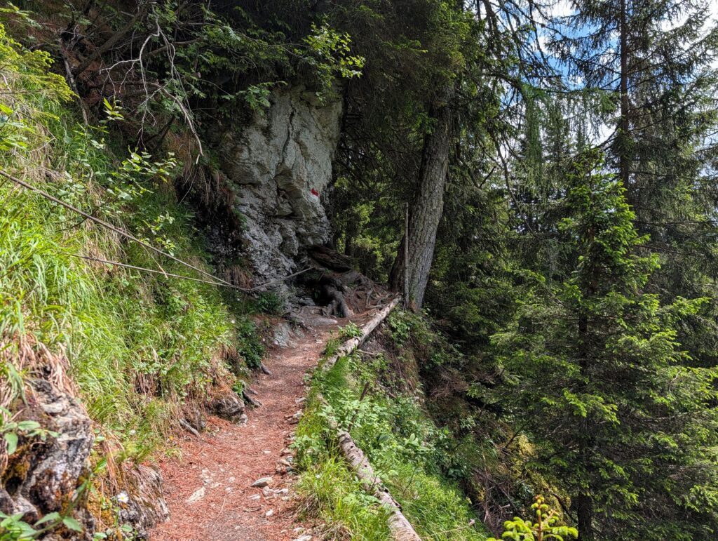 Weg auf dem Salzburger Almenweg