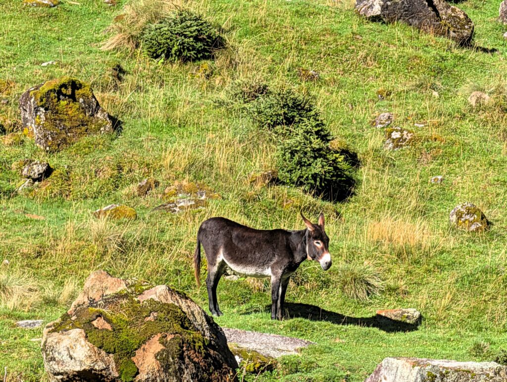 Auf der Etappe 10 vom Hohe Tauern Bike Trail