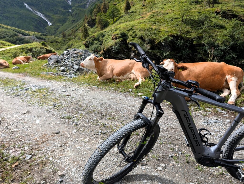 Auf der Etappe 9 vom Hohe Tauern Bike Trail